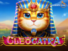 Ayağı kırılan kedi. Casino midas online.84